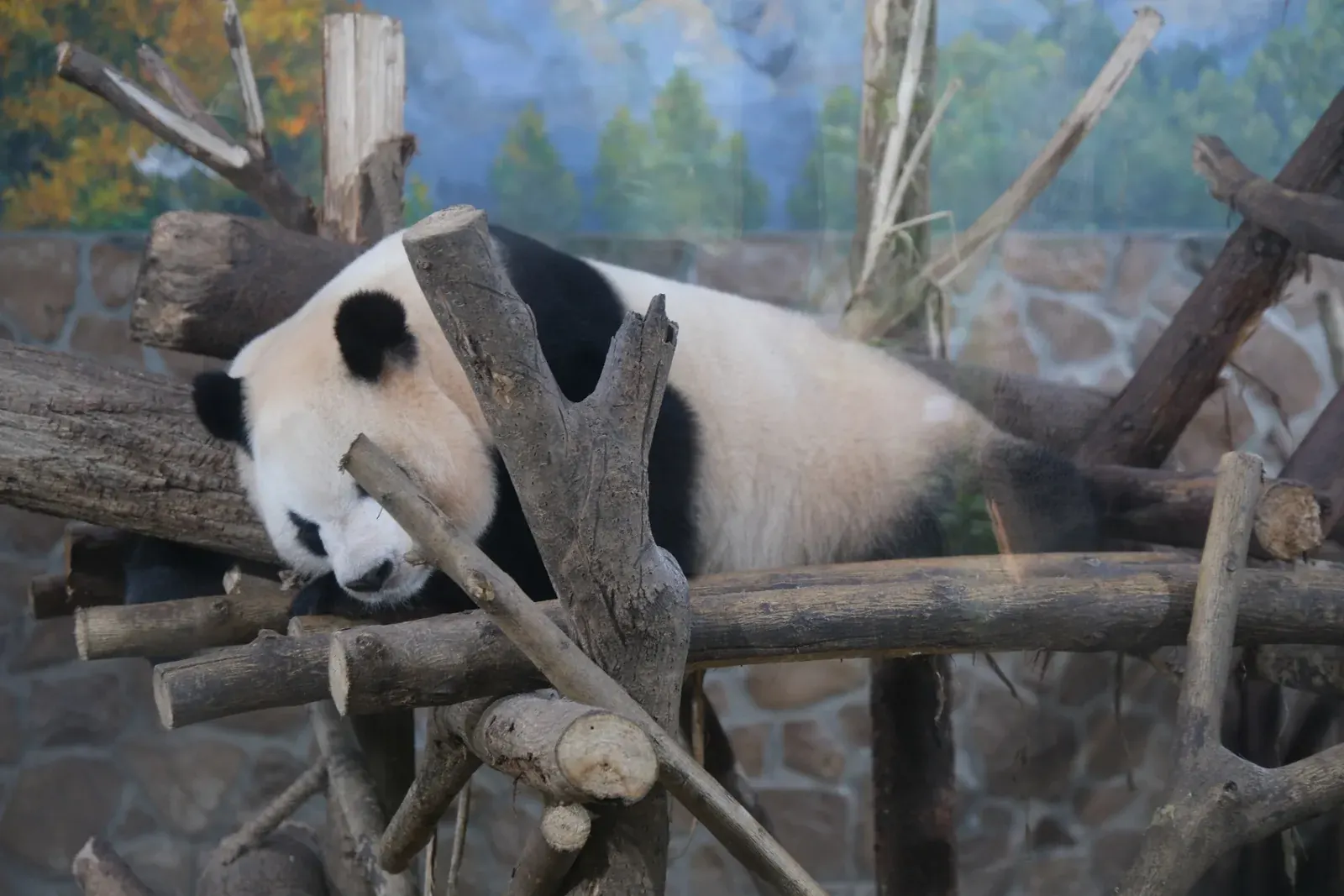 Chengdu